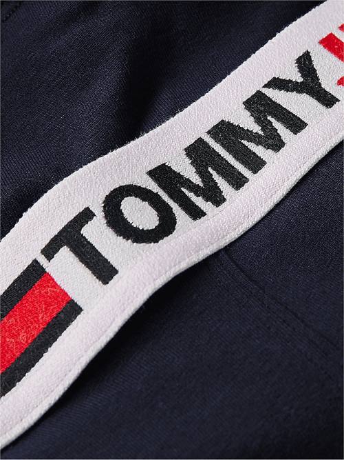 Blue Tommy Hilfiger Logo Waistband Trunks Men's Underwear | TH537WHJ