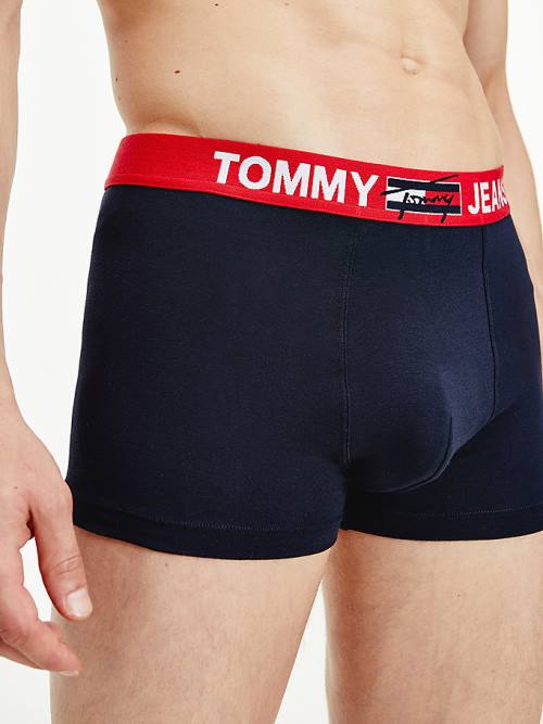 Blue Tommy Hilfiger Logo Waistband Trunks Men's Underwear | TH547ZEF