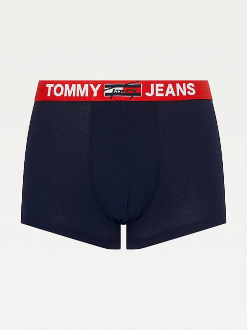 Blue Tommy Hilfiger Logo Waistband Trunks Men's Underwear | TH547ZEF