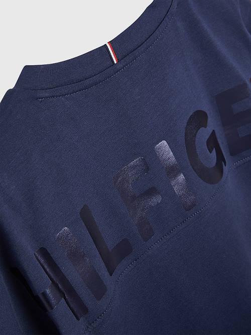 Blue Tommy Hilfiger Metallic Logo Organic Cotton Girls' T Shirts | TH689FPT