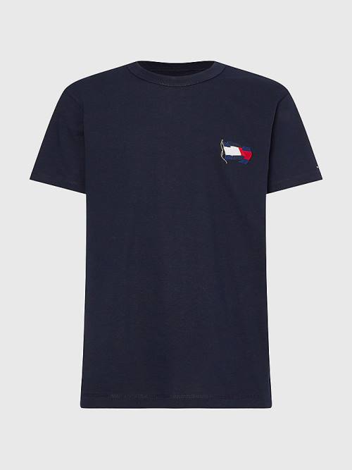 Blue Tommy Hilfiger Motion Flag Embroidery Men's T Shirts | TH371WPL