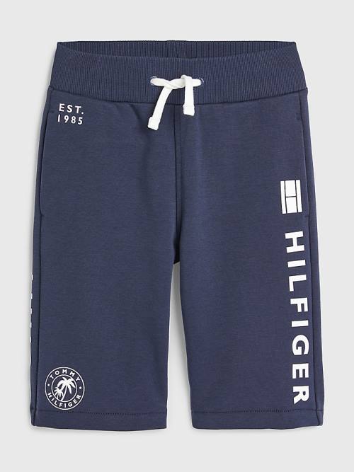 Blue Tommy Hilfiger Multi Logo Drawstring Sweat Shorts Boys\' Pants | TH234GCT