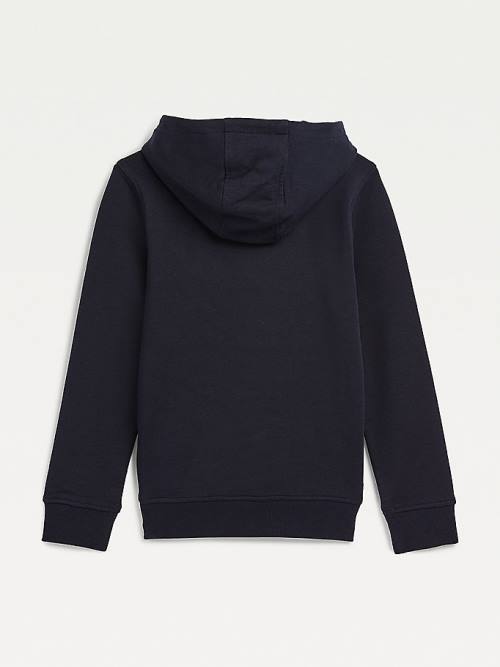 Blue Tommy Hilfiger Organic Cotton Logo Boys' Hoodie | TH104GKT