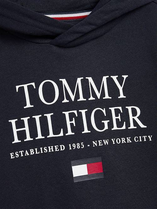 Blue Tommy Hilfiger Organic Cotton Logo Boys' Hoodie | TH104GKT