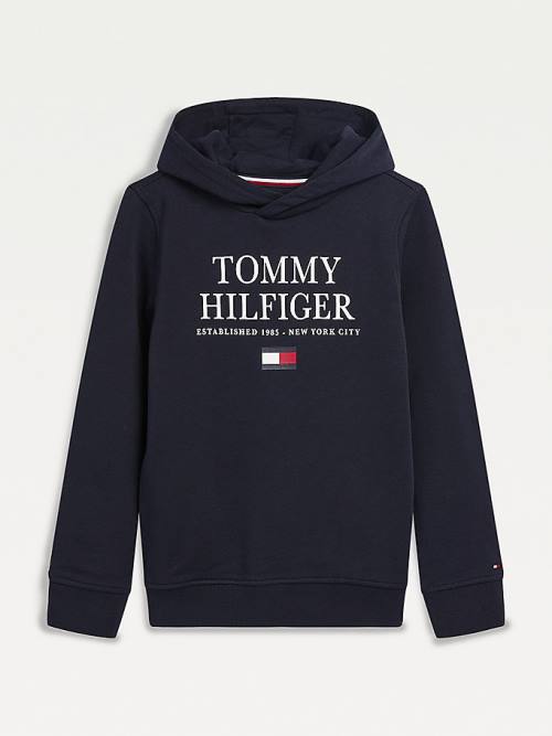 Blue Tommy Hilfiger Organic Cotton Logo Boys\' Hoodie | TH104GKT