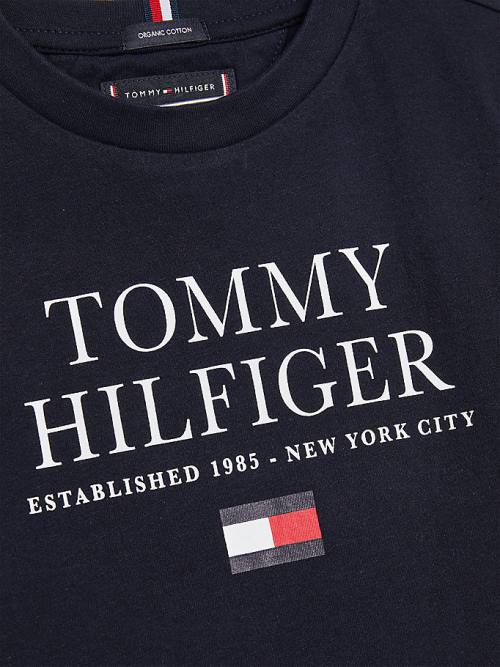 Blue Tommy Hilfiger Organic Cotton Logo Boys' T Shirts | TH290XWS