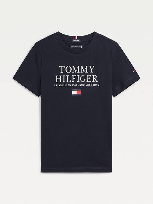 Blue Tommy Hilfiger Organic Cotton Logo Boys\' T Shirts | TH290XWS