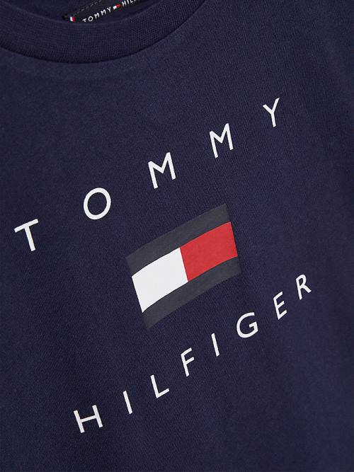 Blue Tommy Hilfiger Organic Cotton Logo Boys' T Shirts | TH348PBI