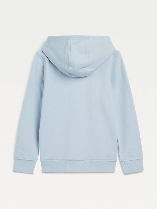 Blue Tommy Hilfiger Organic Cotton Logo Boys' Hoodie | TH930HVU