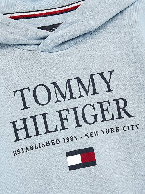 Blue Tommy Hilfiger Organic Cotton Logo Boys' Hoodie | TH930HVU