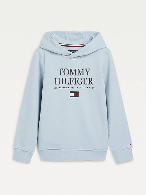 Blue Tommy Hilfiger Organic Cotton Logo Boys\' Hoodie | TH930HVU