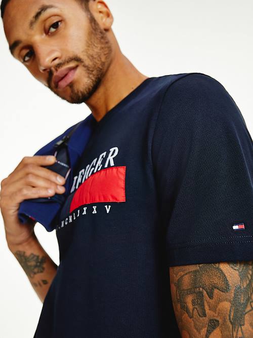 Blue Tommy Hilfiger Organic Cotton Relaxed Fit Men's T Shirts | TH641NOD