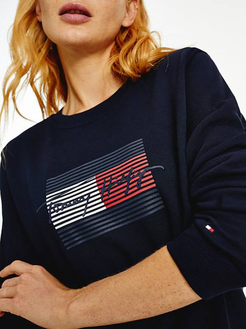 Blue Tommy Hilfiger Organic Cotton Signature Logo Women's Sweatshirts | TH947PHU