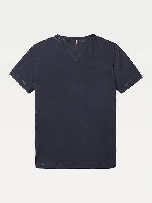 Blue Tommy Hilfiger Organic Cotton V-Neck Boys' T Shirts | TH510TWL