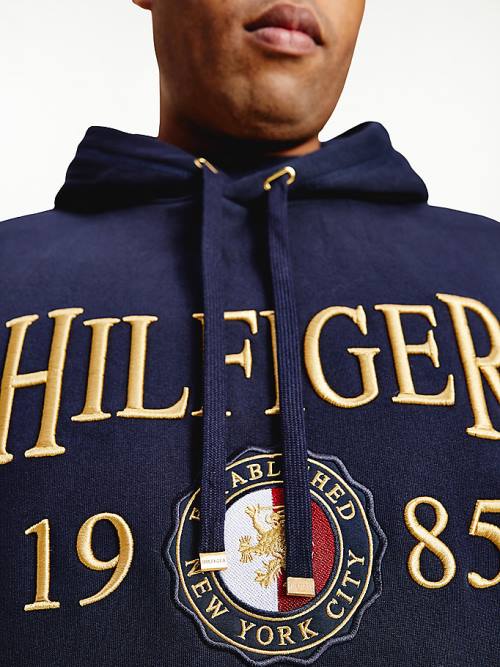 Blue Tommy Hilfiger Plus Icons Logo Embroidery Relaxed Fit Men's Hoodie | TH758OYM