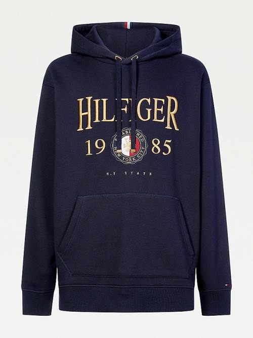 Blue Tommy Hilfiger Plus Icons Logo Embroidery Relaxed Fit Men's Hoodie | TH758OYM