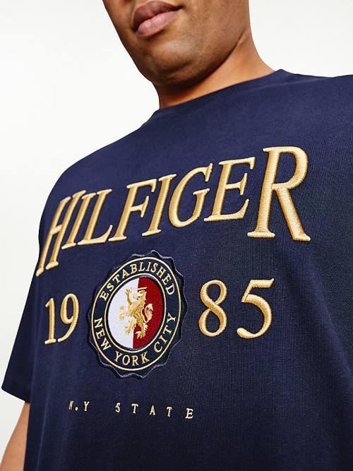 Blue Tommy Hilfiger Plus Icons Relaxed Fit Men's T Shirts | TH816EXJ