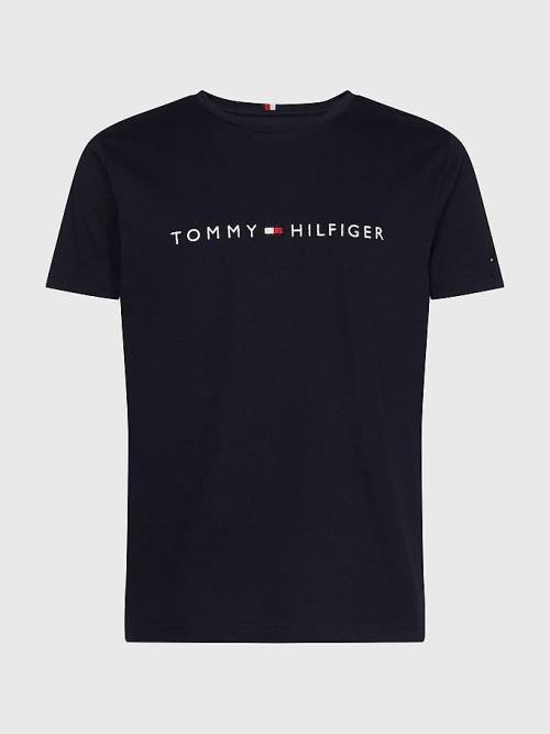 Blue Tommy Hilfiger Plus Organic Cotton Logo Men\'s T Shirts | TH403DPG