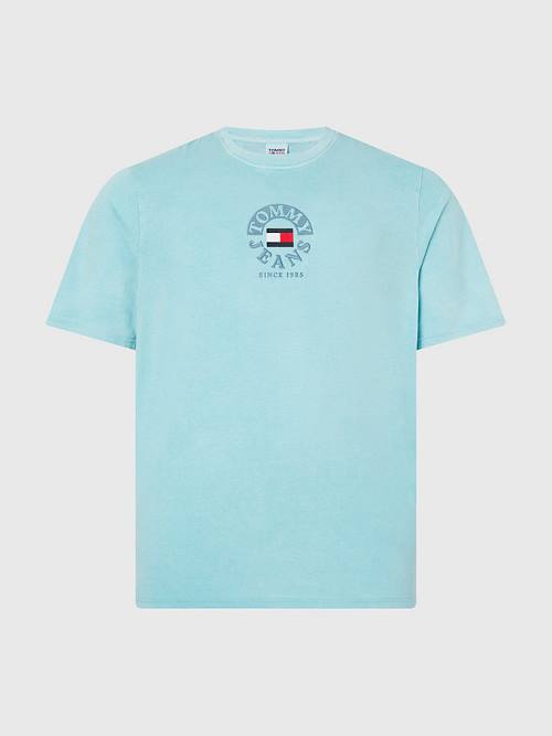 Blue Tommy Hilfiger Plus Organic Cotton Logo Men's T Shirts | TH415BUY