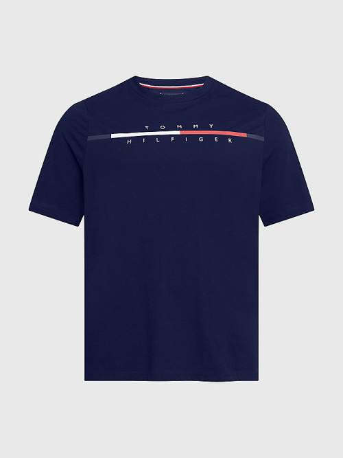 Blue Tommy Hilfiger Plus Signature Split Logo Men's T Shirts | TH923OWH