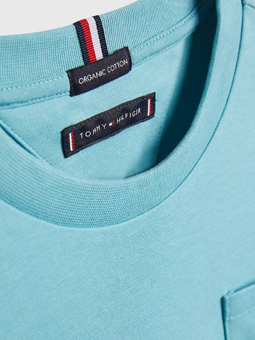 Blue Tommy Hilfiger Relaxed Fit Badge Boys' T Shirts | TH617FON