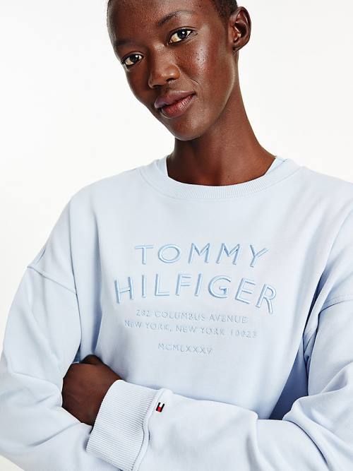 Blue Tommy Hilfiger Relaxed Fit Text Embroidery Women's Sweatshirts | TH470BZT