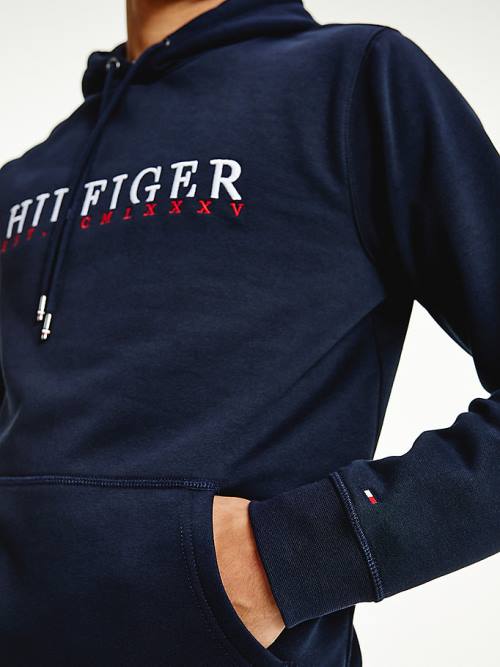 Blue Tommy Hilfiger Signature Flex Fleece Logo Men's Hoodie | TH013YZS