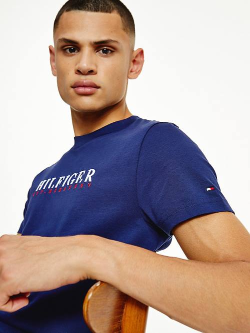 Blue Tommy Hilfiger Signature Organic Cotton Graphic Logo Men's T Shirts | TH875OMJ