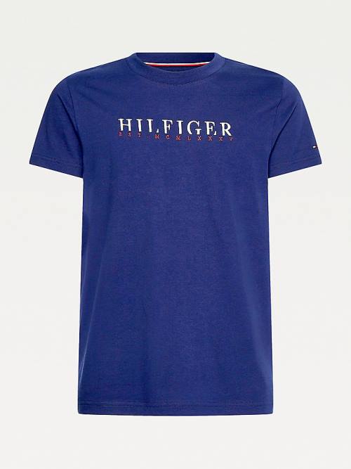 Blue Tommy Hilfiger Signature Organic Cotton Graphic Logo Men's T Shirts | TH875OMJ