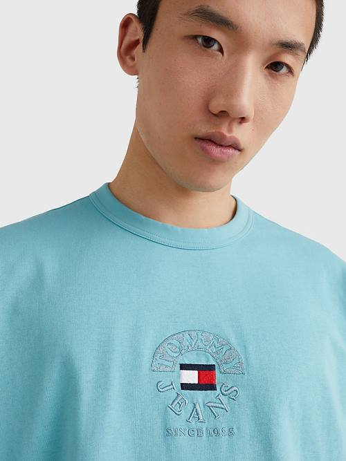 Blue Tommy Hilfiger Skate Fit Logo Men's T Shirts | TH687LON