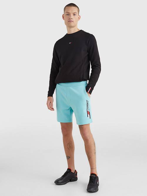 Blue Tommy Hilfiger Sport Essential Organic Cotton Men's Shorts | TH691MTD