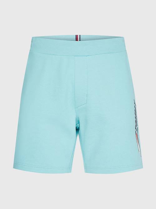 Blue Tommy Hilfiger Sport Essential Organic Cotton Men's Shorts | TH691MTD