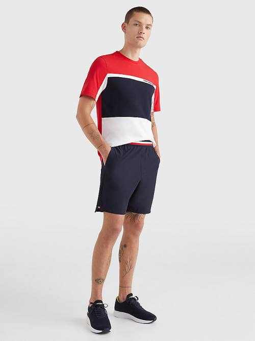 Blue Tommy Hilfiger Sport Essential Performance Training Men's Shorts | TH290XJS