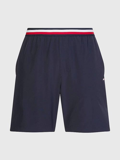 Blue Tommy Hilfiger Sport Essential Performance Training Men's Shorts | TH290XJS