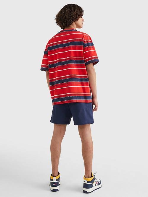 Blue Tommy Hilfiger Stripe Organic Cotton Men's T Shirts | TH367DQF