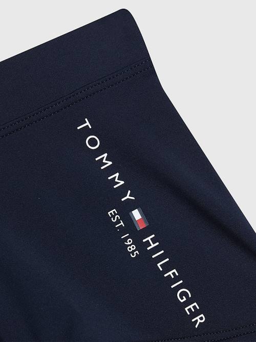 Blue Tommy Hilfiger TH Established Logo Shorts Boys' Swimwear | TH638YGK