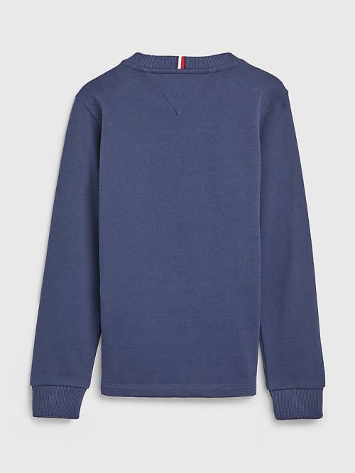 Blue Tommy Hilfiger Varsity Logo Boys' Sweatshirts | TH135AWE