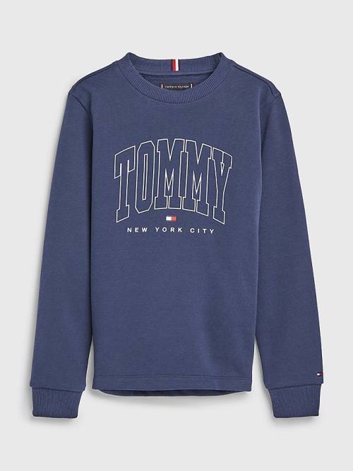 Blue Tommy Hilfiger Varsity Logo Boys\' Sweatshirts | TH135AWE