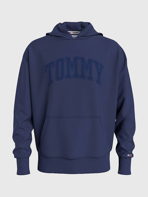 Blue Tommy Hilfiger Varsity Logo Men's Hoodie | TH970PJB