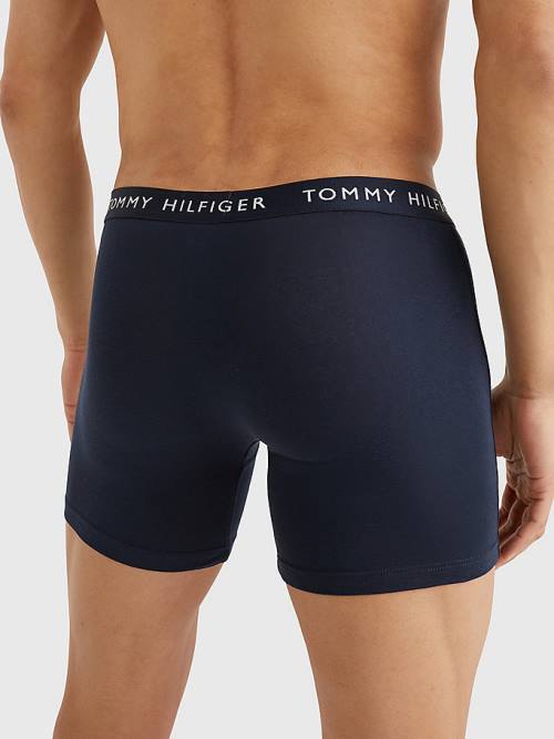 Brown Tommy Hilfiger 3-Pack Logo Waistband Boxer Briefs Men's Underwear | TH712WZF