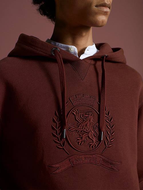 Brown Tommy Hilfiger Crest Embroidery Organic Cotton Men's Hoodie | TH705JWS