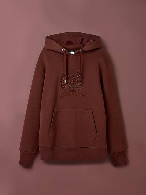 Brown Tommy Hilfiger Crest Embroidery Organic Cotton Men's Hoodie | TH705JWS