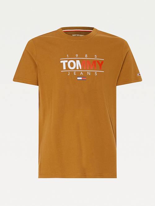 Brown Tommy Hilfiger Essential Graphic Men's T Shirts | TH904DXO