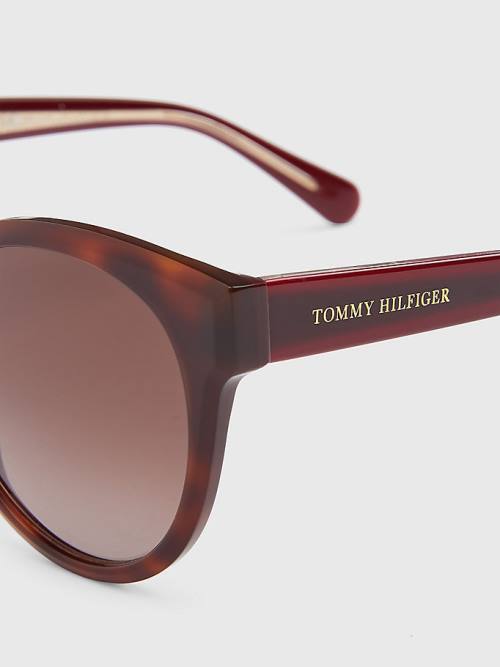 Brown Tommy Hilfiger Logo Temple Cat-Eye Women's Sunglasses | TH240ORQ