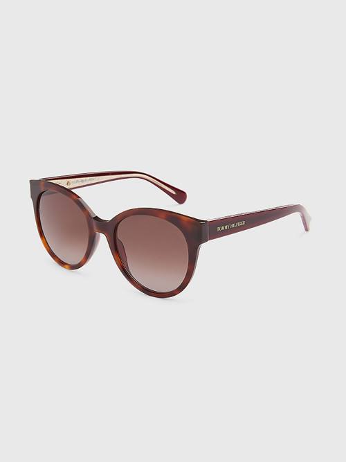 Brown Tommy Hilfiger Logo Temple Cat-Eye Women\'s Sunglasses | TH240ORQ