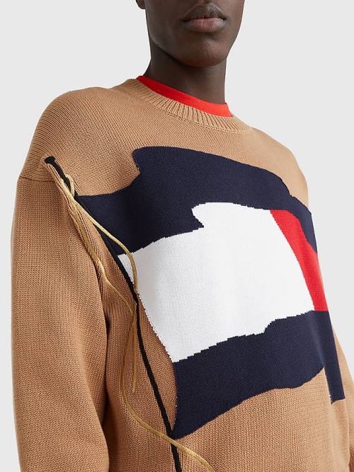 Brown Tommy Hilfiger Motion Flag Crew Neck Jumper Men's Sweaters | TH942FWK