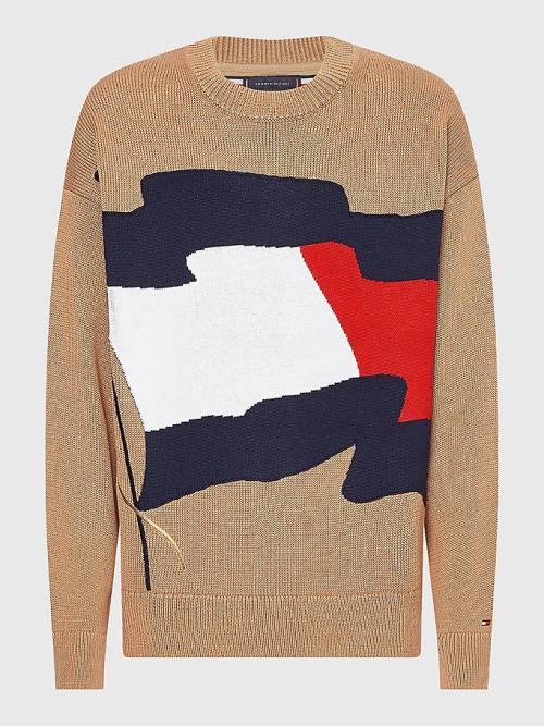 Brown Tommy Hilfiger Motion Flag Crew Neck Jumper Men's Sweaters | TH942FWK