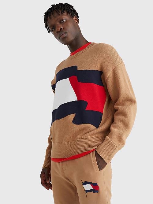 Brown Tommy Hilfiger Motion Flag Crew Neck Jumper Men\'s Sweaters | TH942FWK