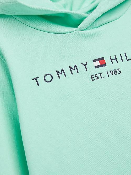 Green Tommy Hilfiger Essential Logo Boys' Hoodie | TH736TCR