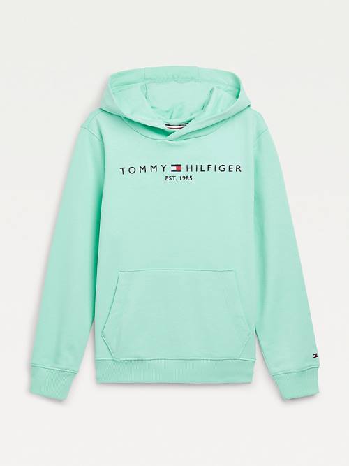 Green Tommy Hilfiger Essential Logo Boys\' Hoodie | TH736TCR